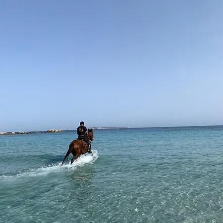 Appartamento Atlantide