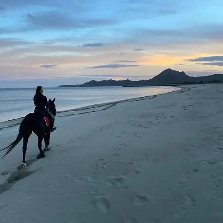 Atlantide Appartamento *