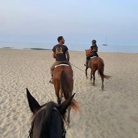 Lägenhet Atlantide *