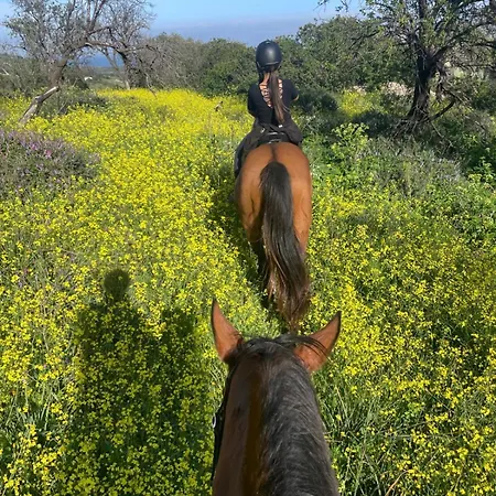 Appartamento Atlantide Muravera