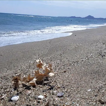 Lägenhet Atlantide Muravera